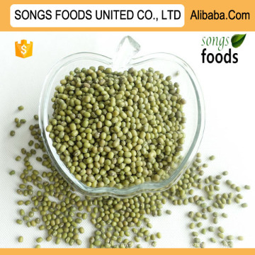 Green Mung Beans Specification New Crop